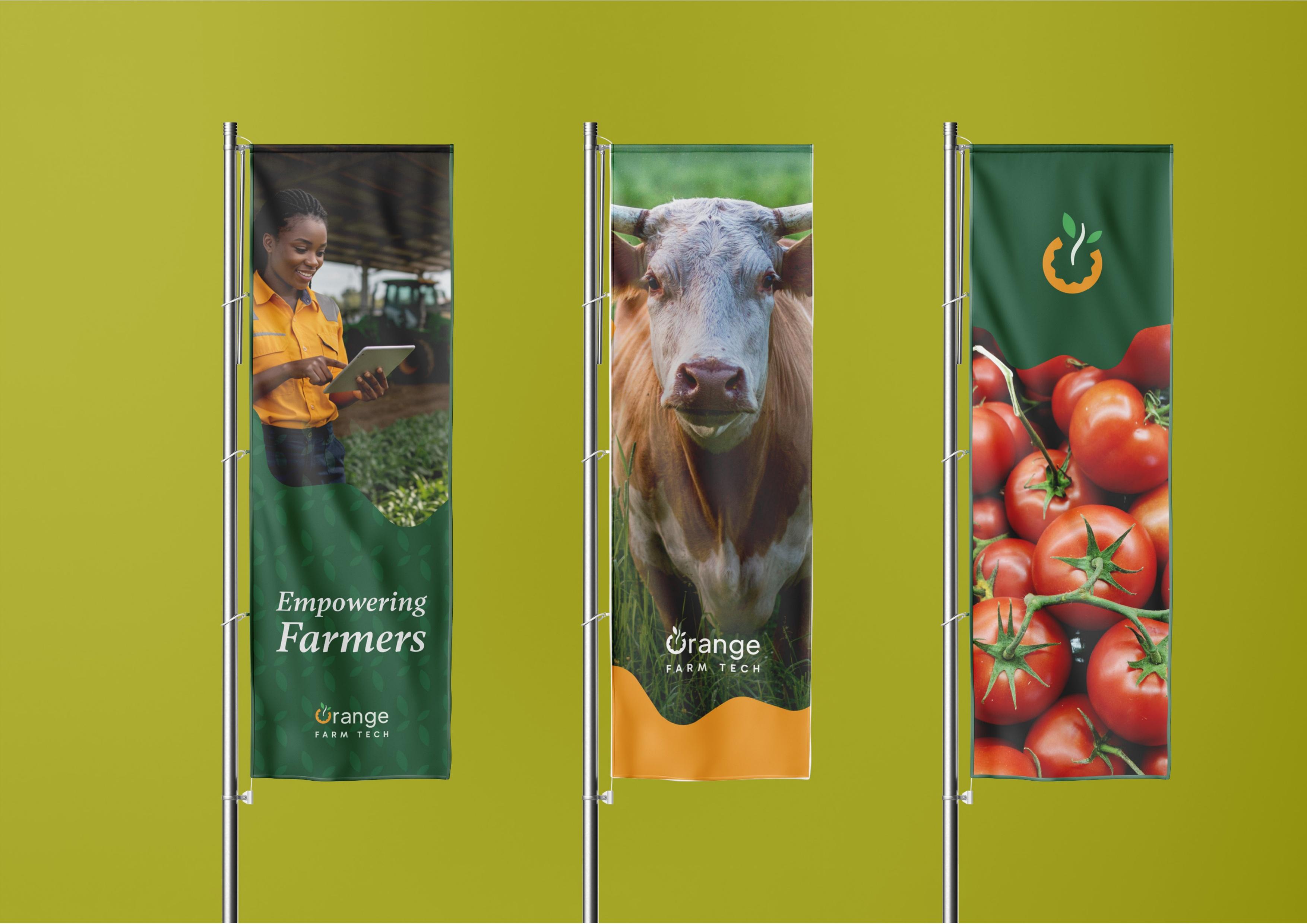 Outdoor flag banners
