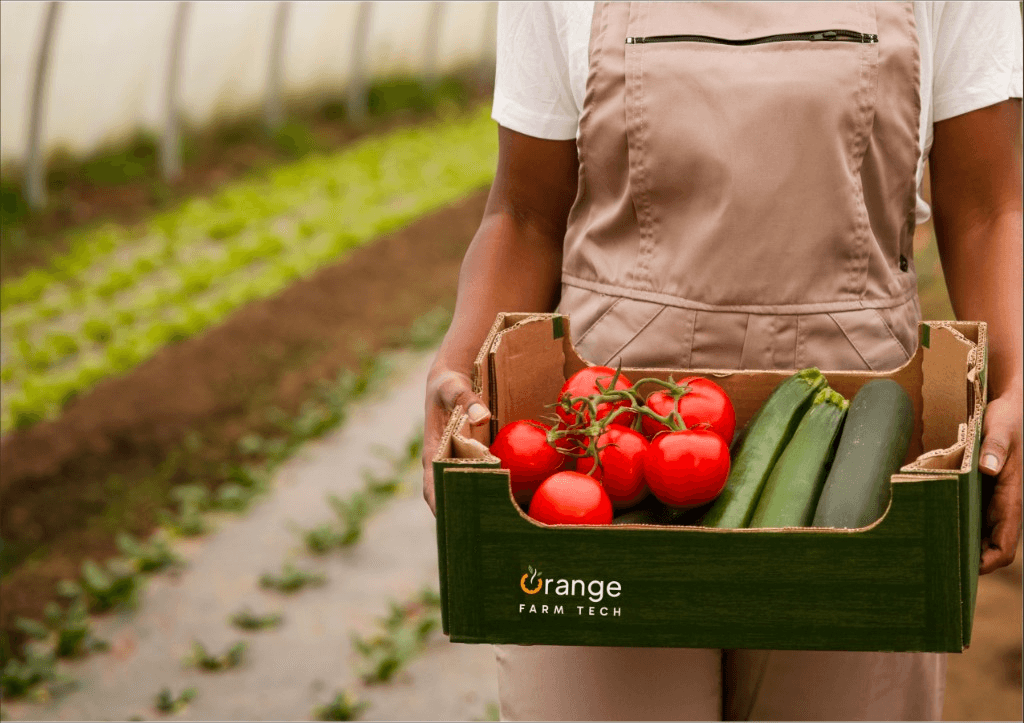 Branded produce box